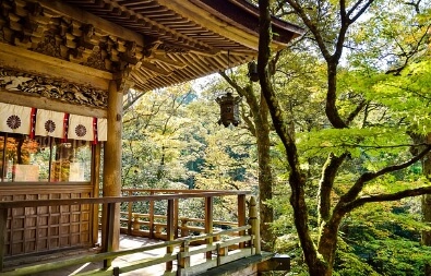 일본 지진 여행 취소