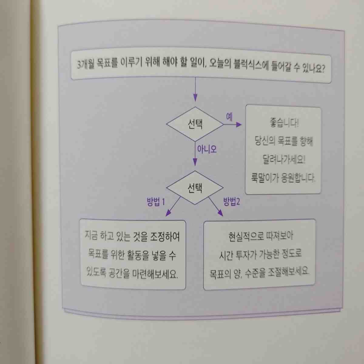 블럭식스 책