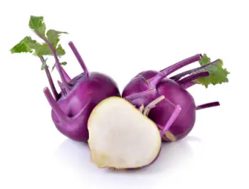 콜라비 효능과 영양성분, 주의점