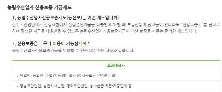 DSR 규제 걱정 없는 대출 상품 TOP 5 한도 금리 신청방법3