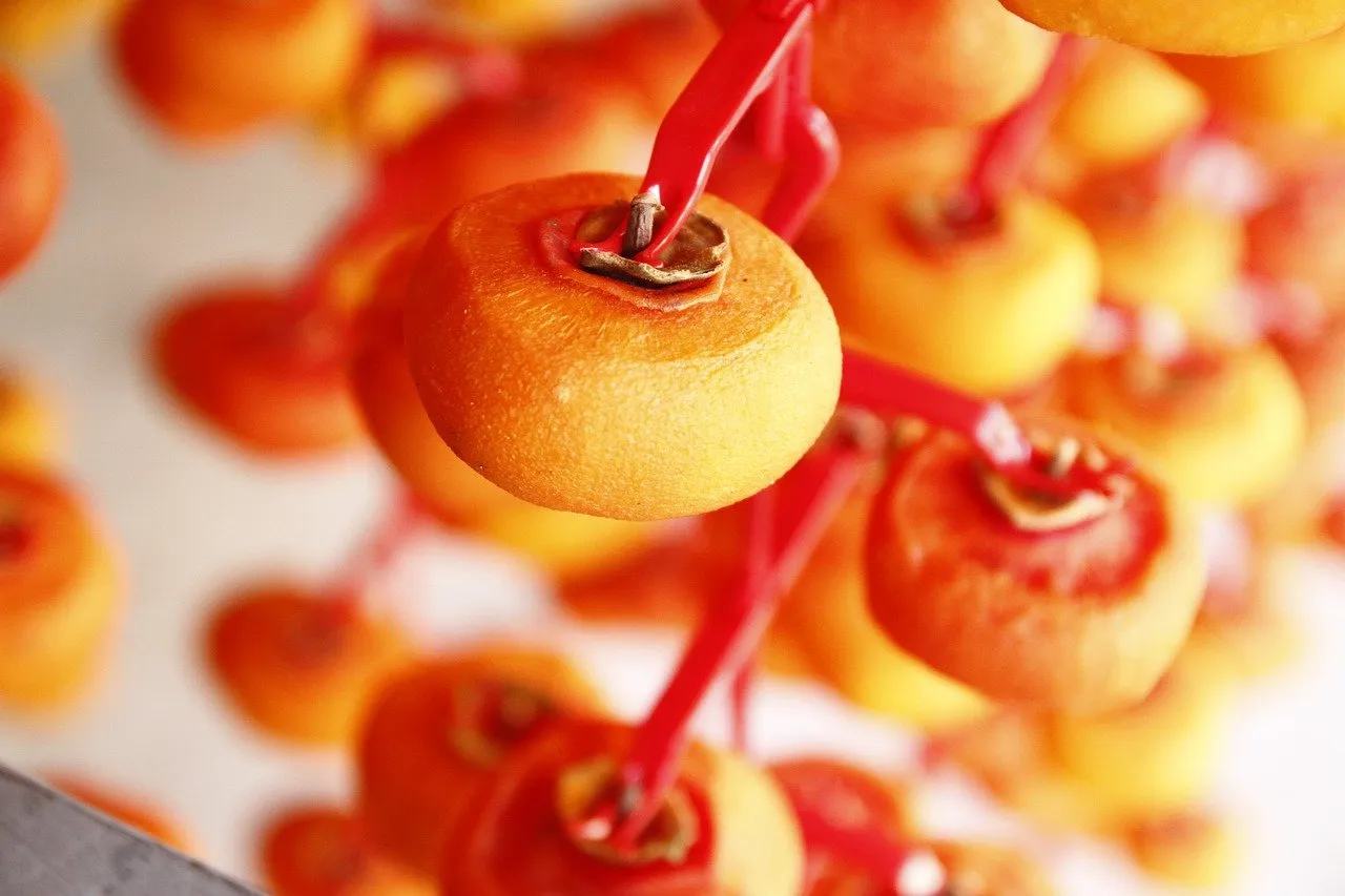 감말리기 곶감만들기