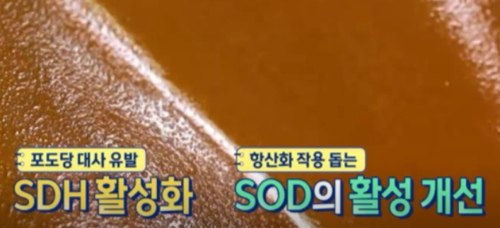 흑마늘 SAC 효능