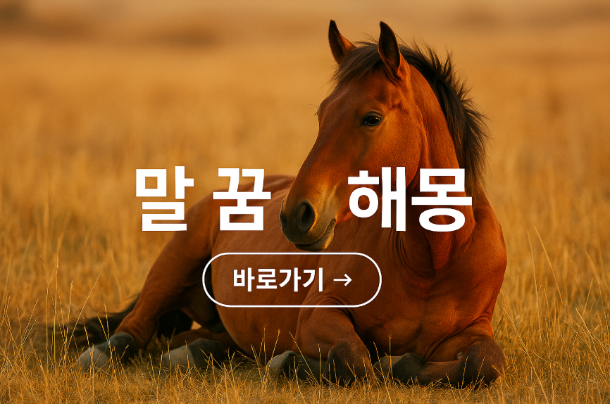 말 꿈 해몽