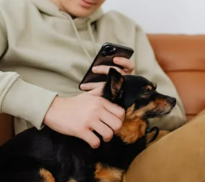 강아지 꿈해몽 상황별 의미 총정리 (길몽 vs 흉몽)