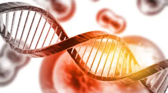 혈뇨가 나오는 이유 37