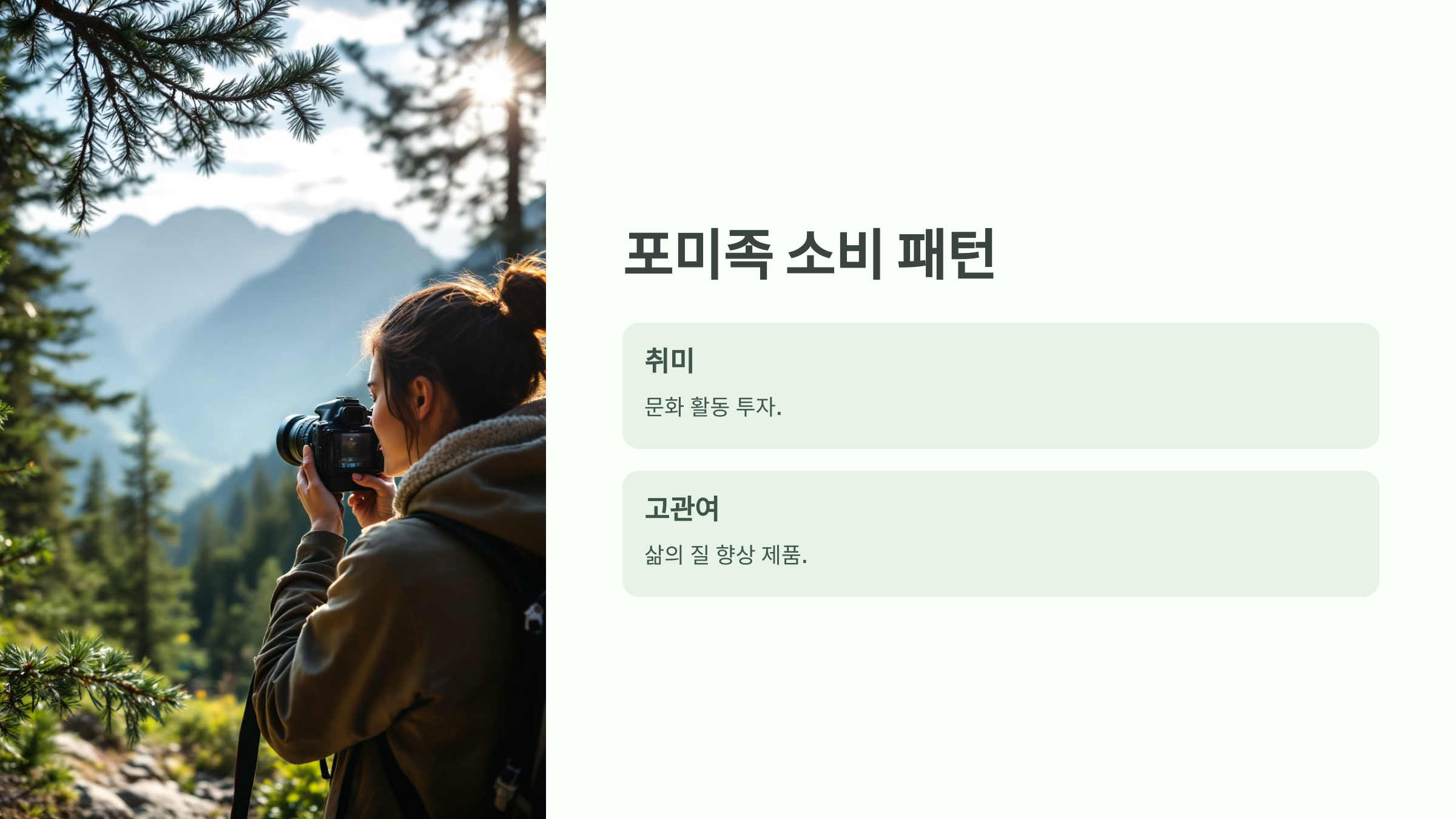 포미족 뜻