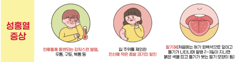 성홍열 증상모음