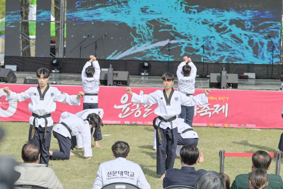  제51회 윤봉길 평화축제 특징