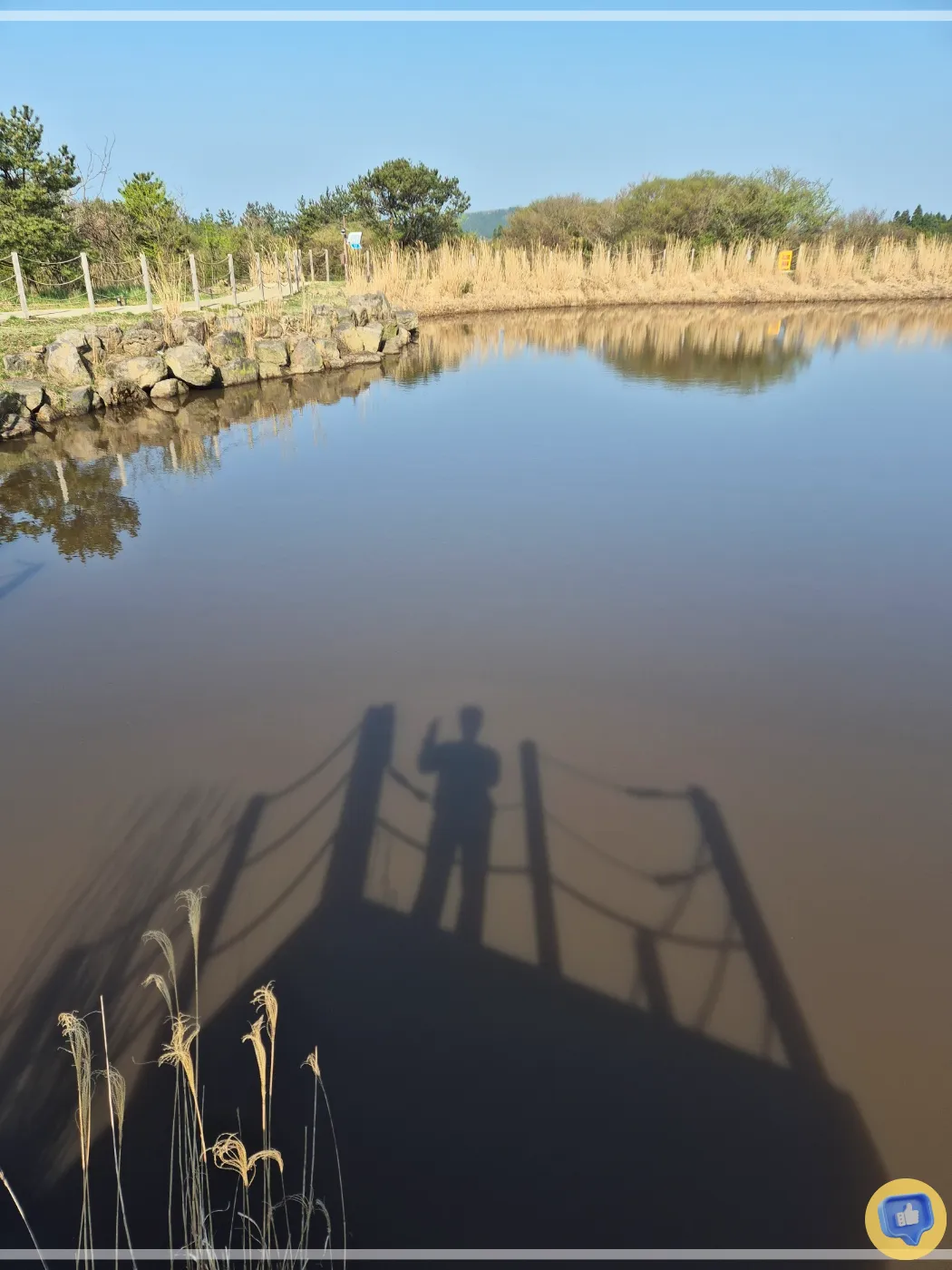 제주-글램핑-숙소-스타빌-액티비티-총정리-별자리-낚시-어질리티-페달카트-여행