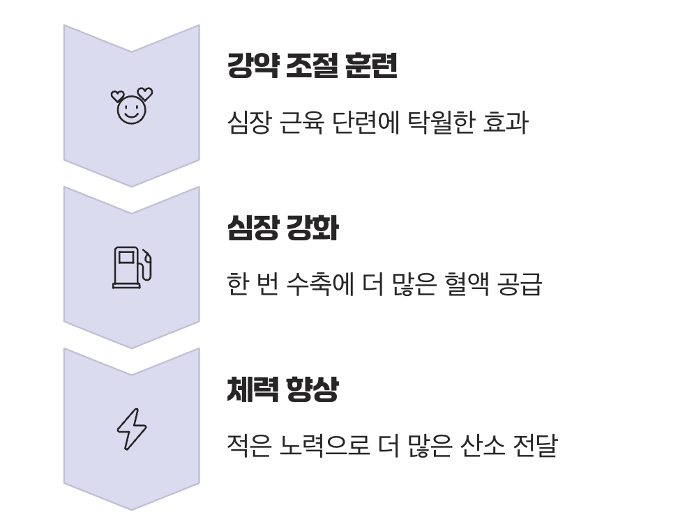 3. 심장, 폐의 가장 든든한 파트너