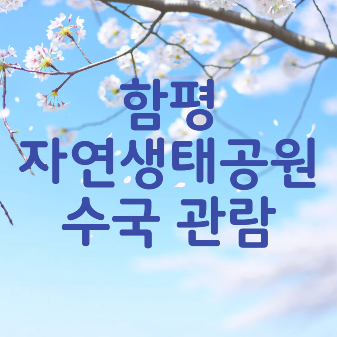함평 자연생태공원 수국