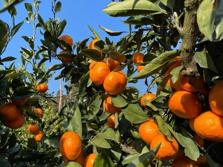 제주여행-서귀포-여행