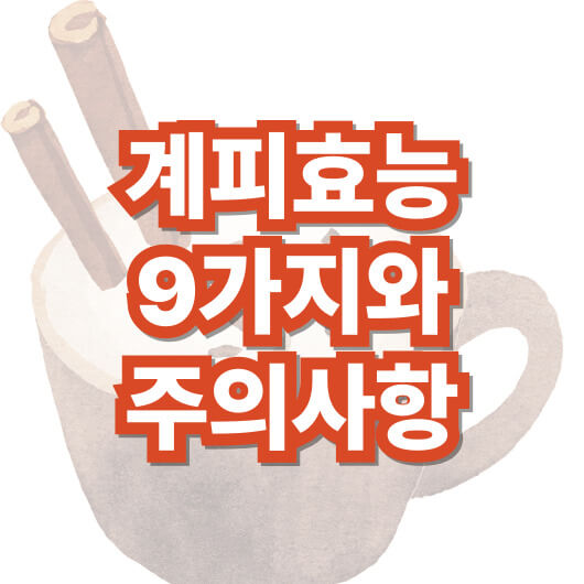 계피-효능