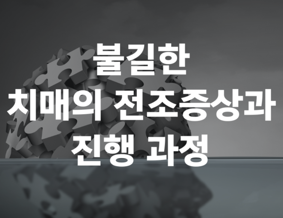 치매단계,치매진행,치매예후,치매말기,치매증상,알츠하이머단계,중기치매,치매관리,노인성치매,치매조기대응