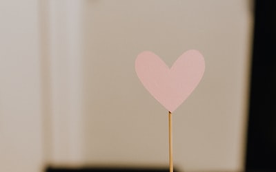In the Realm of Emotional Intelligence: Nurturing Heart-Centered Children