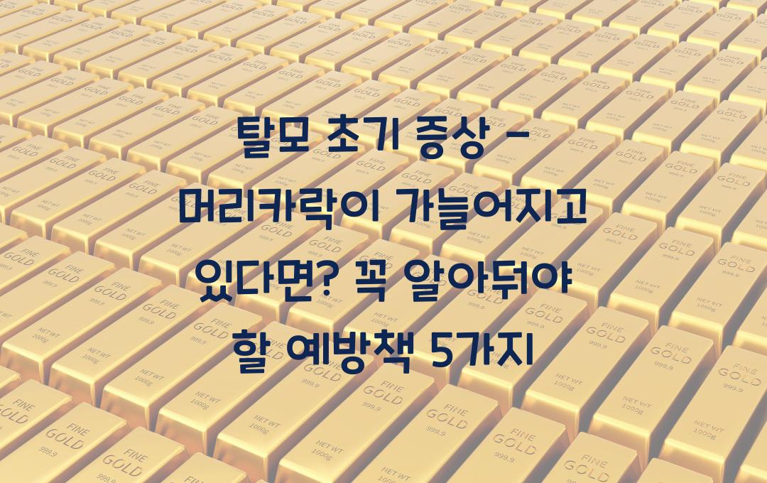 탈모 초기 증상 - 머리카락이 가늘어지고 있다면? 예방책 정리!