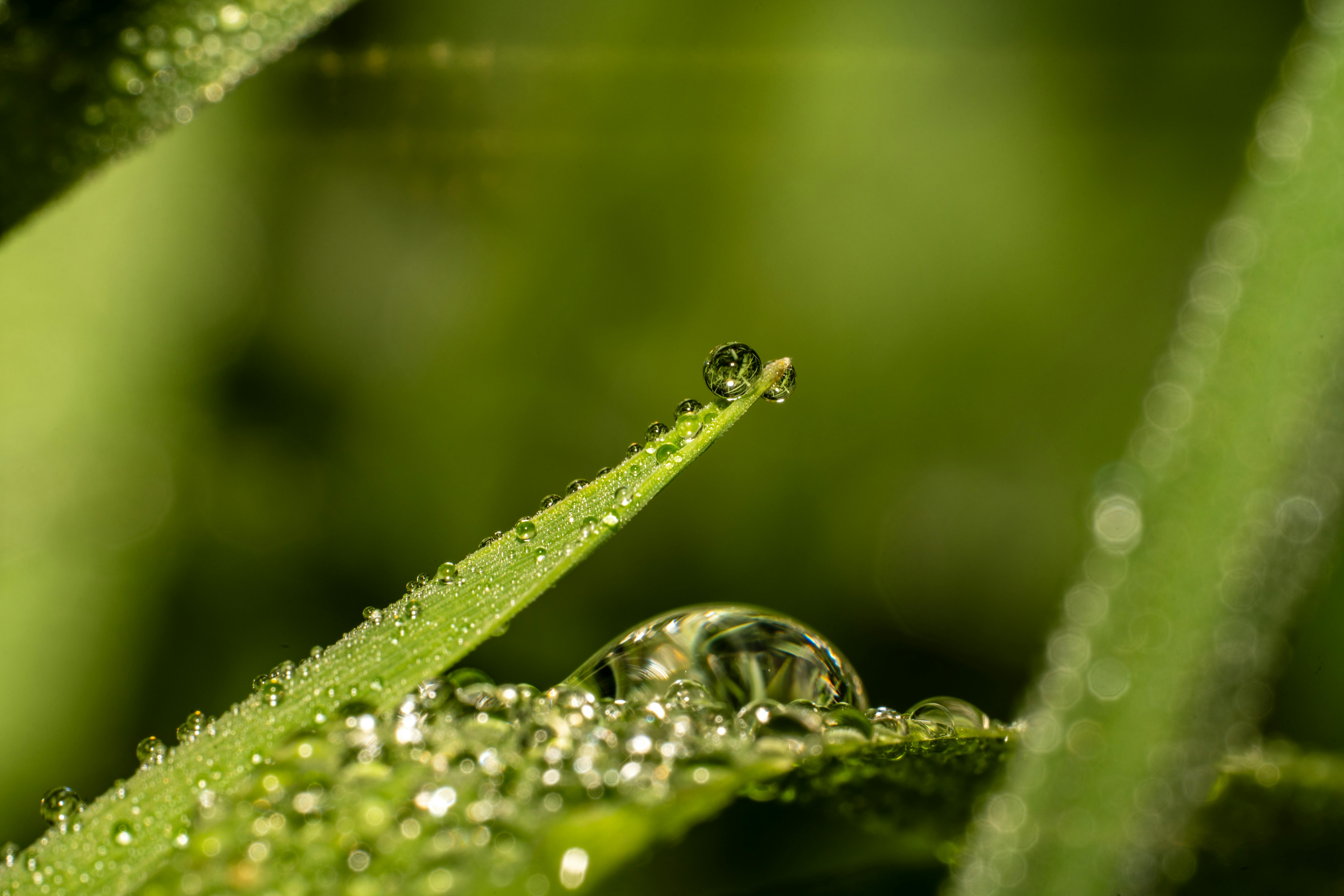 친구가 날 때리는을 상징하는 이미지