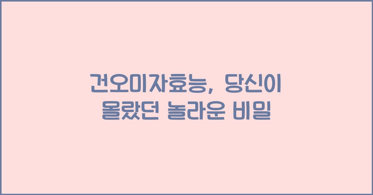 건오미자효능