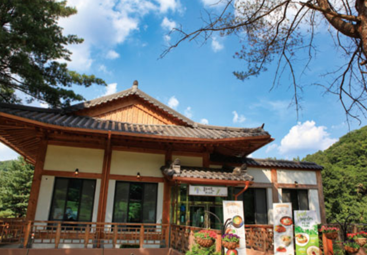 아침고요 수목원