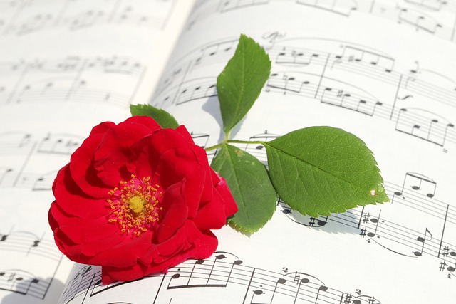 악보 보는법 배우기