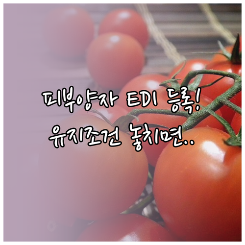 사업장 EDI를 이용한 건강보험 피부..