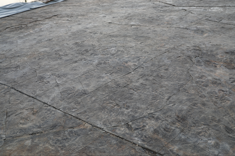 진주 정촌면 백악기 공룡 익륭발자국 화석 산지