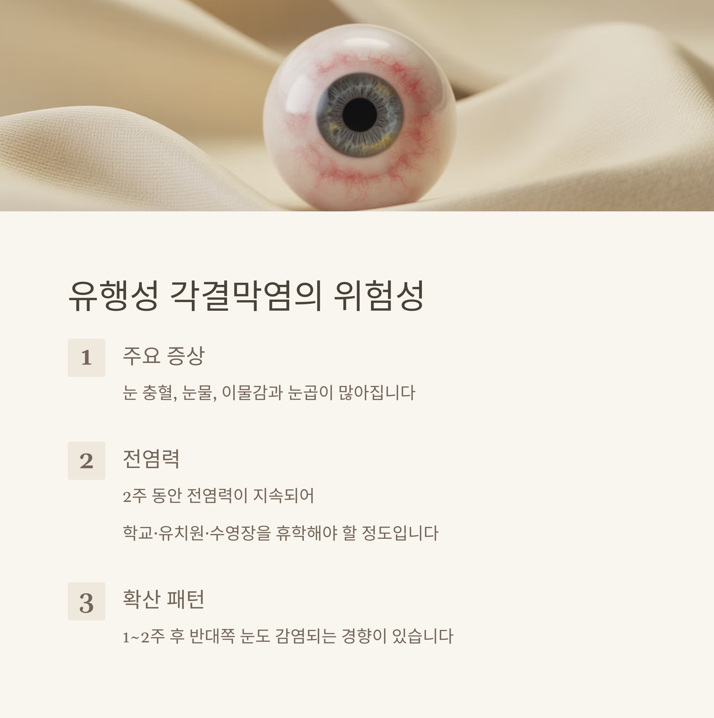 여름철 눈 질환 종류