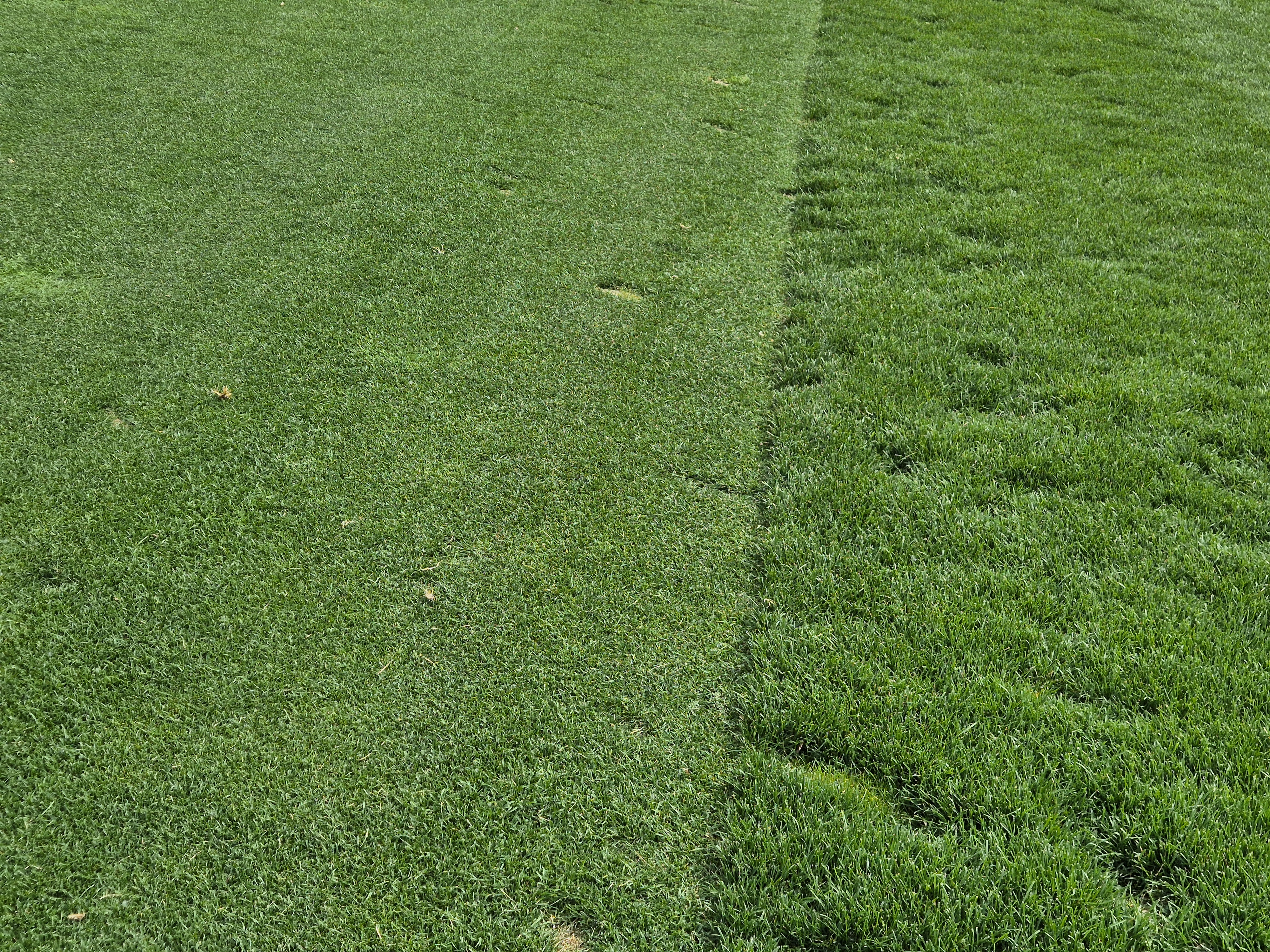 베어크리크cc 크리크코스