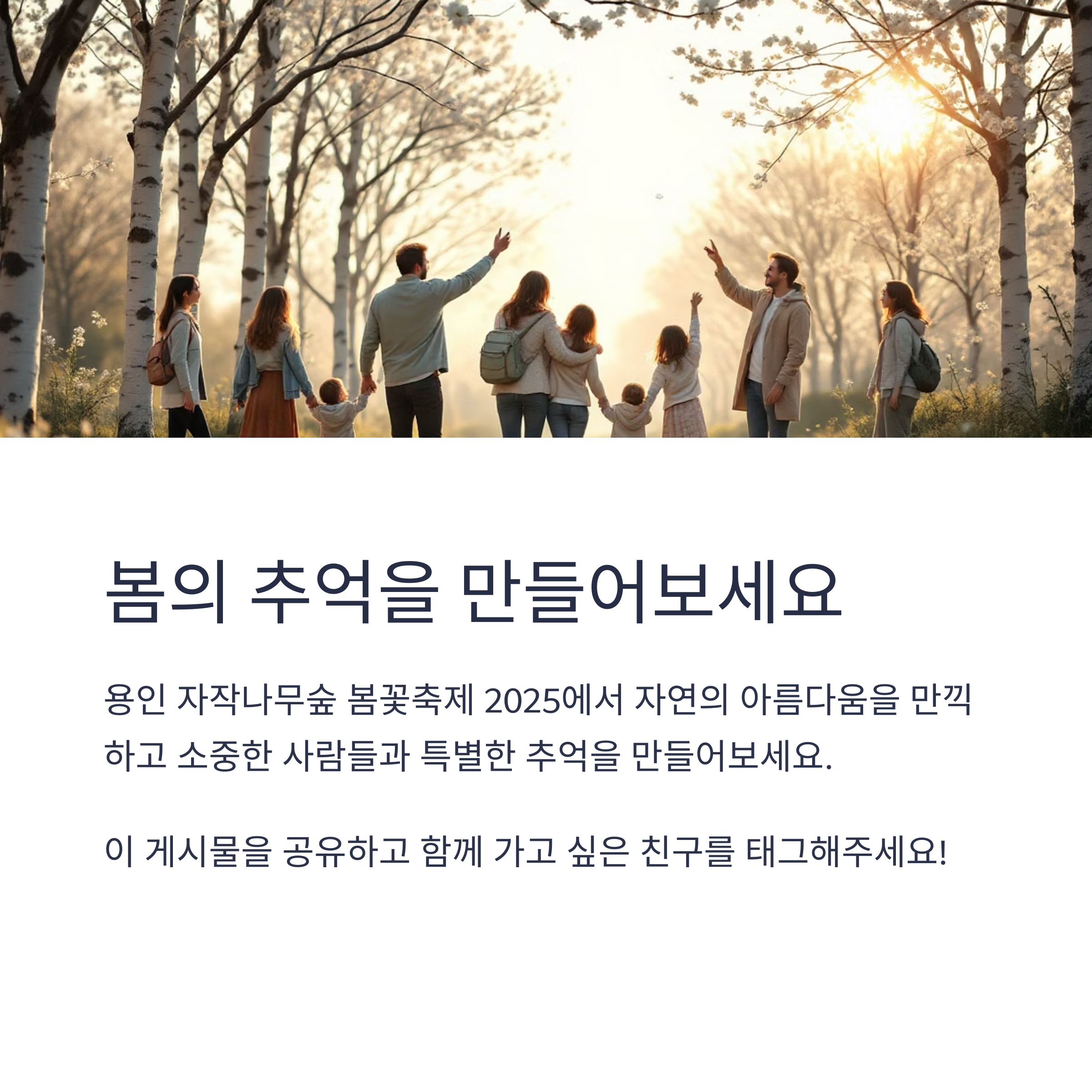 자연 속 힐링 산책, 용인 자작나무숲 봄꽃축제 2025