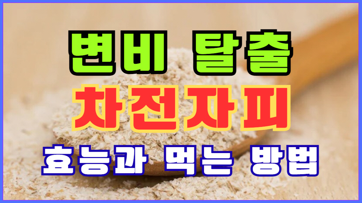 변비 탈출에 효과적인 천연 식이섬유 차전자피 효능과 먹는 방법