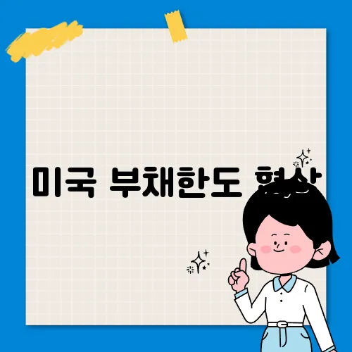 미국 부채한도 협상