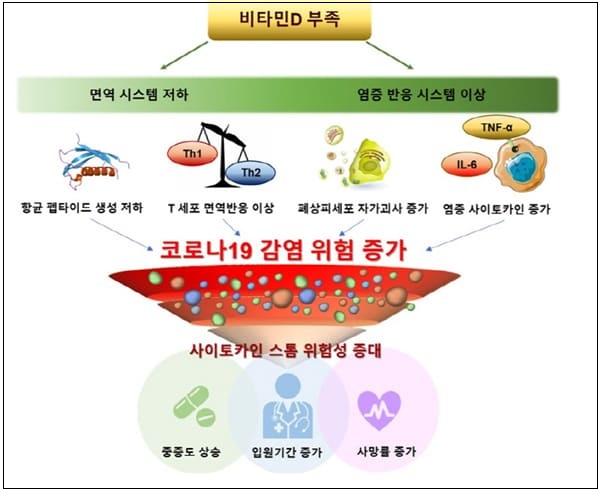 집콕 말고 외출 자주 하세요!...비타민 D 부족 코로나 면역력 약해져 ㅣ 비타민D 섭취 방법