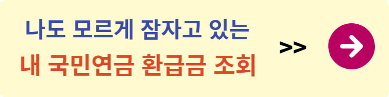 국민연금 납부액&#44; 예상수령액&#44; 환급금 확인
