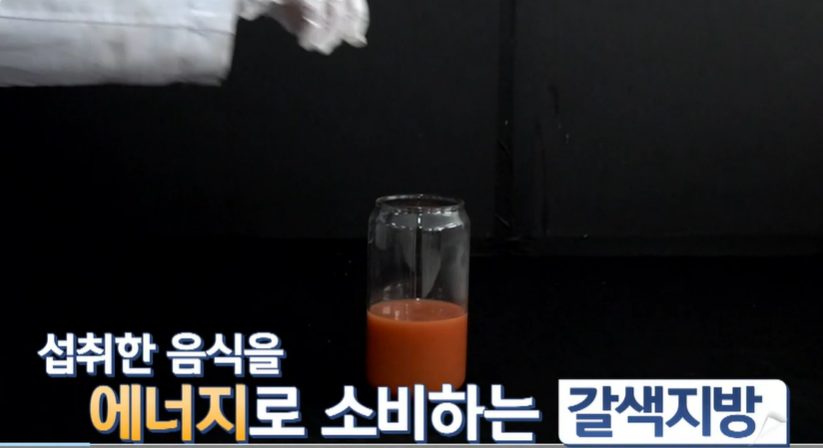 모로실 효능