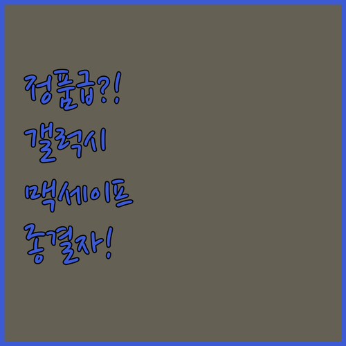 정품 부럽지 않은 삼성 갤럭시 맥세이..