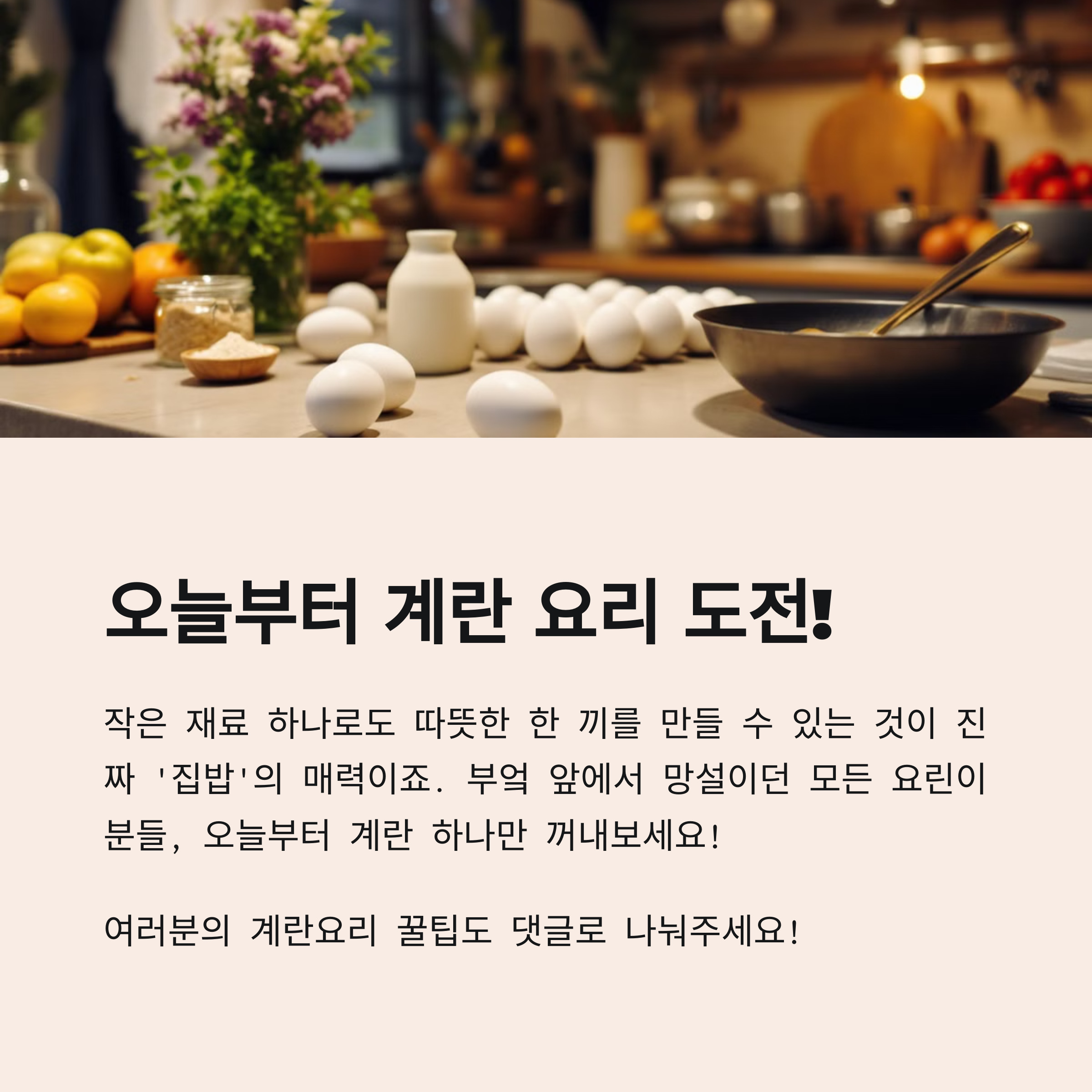오늘부터 계란 요리 도전