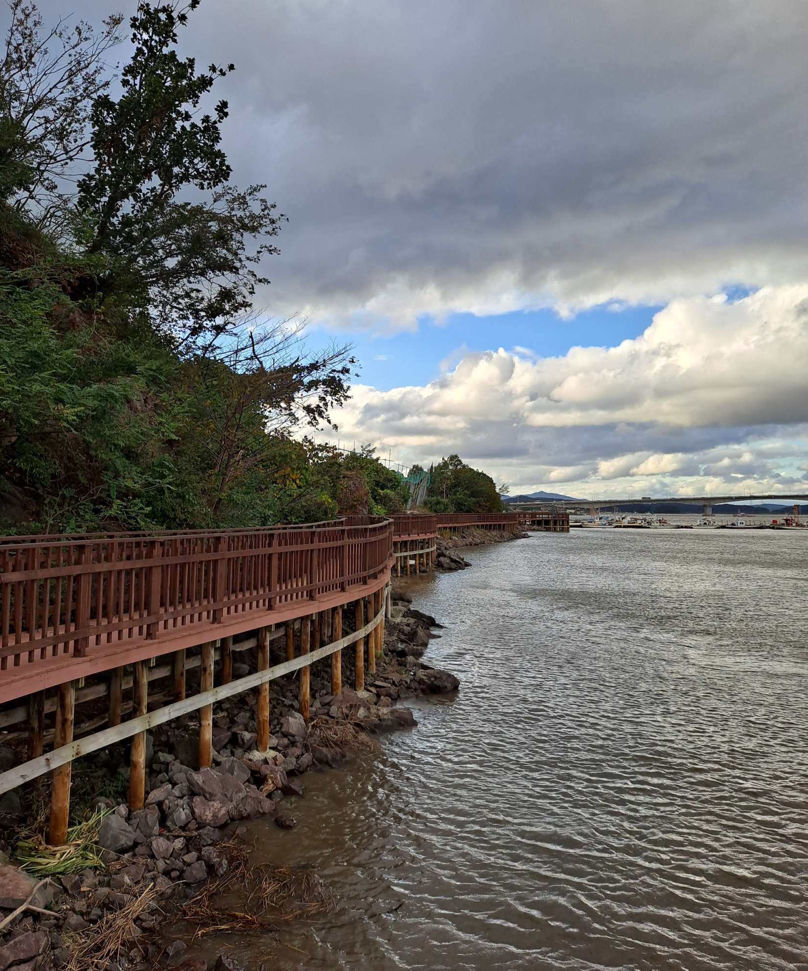 황산도 걸어온길을 돌아보다
