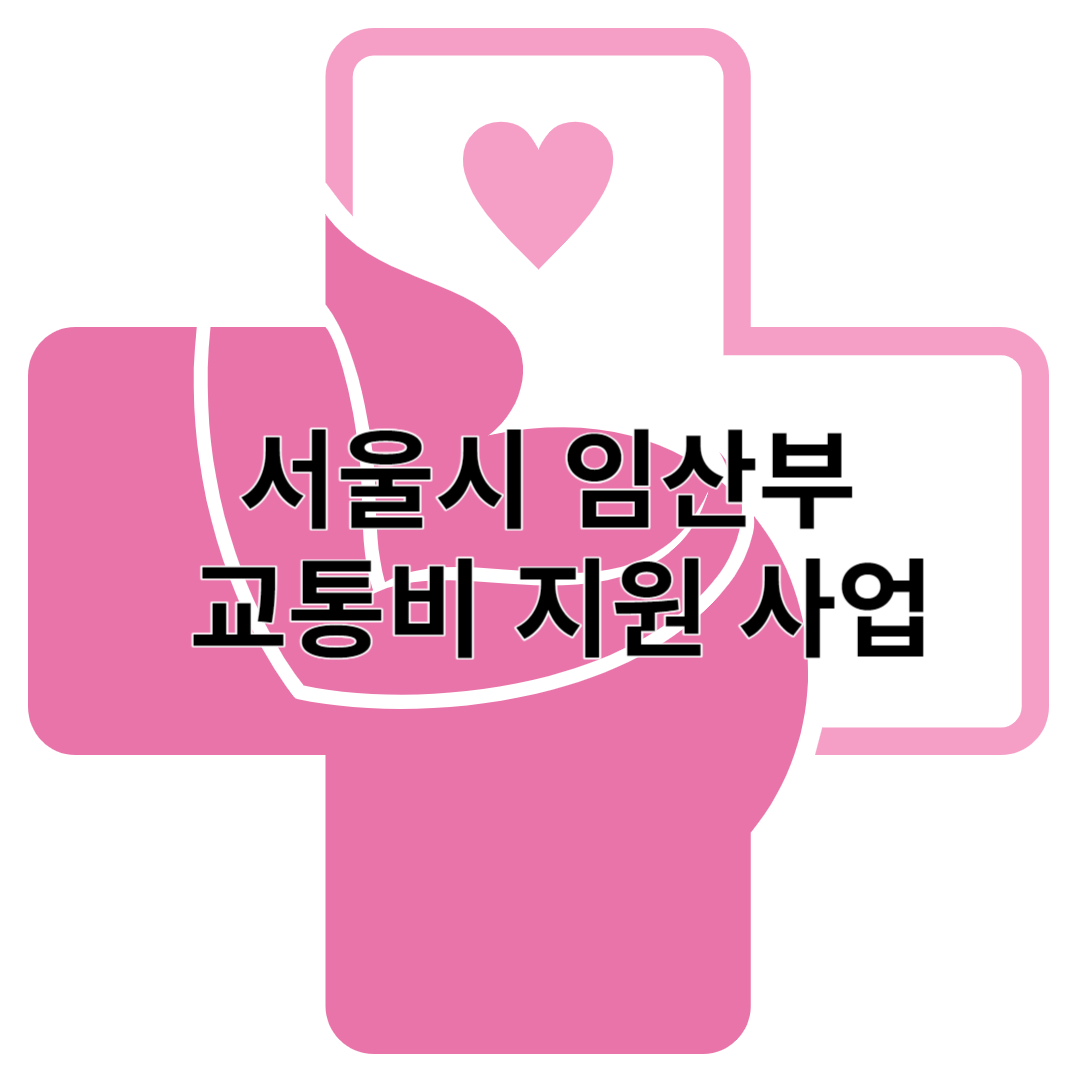 서울시 임산부 교통비 지원