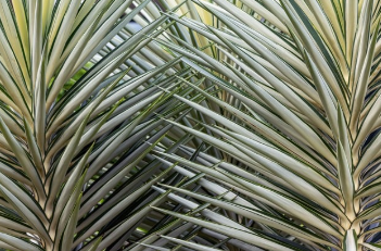 종아리 근육 통증 원인 바로 확인 14