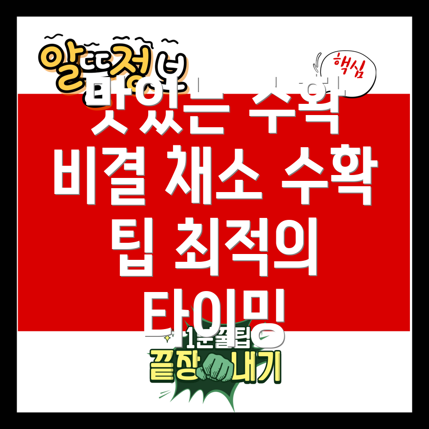 맛있는 수확