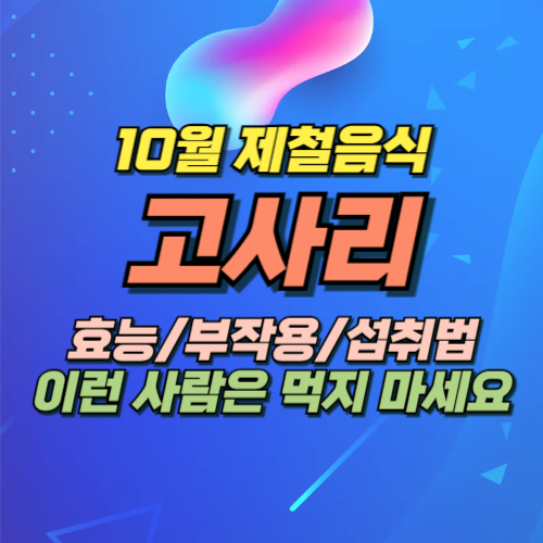 10월 제철음식 고사리