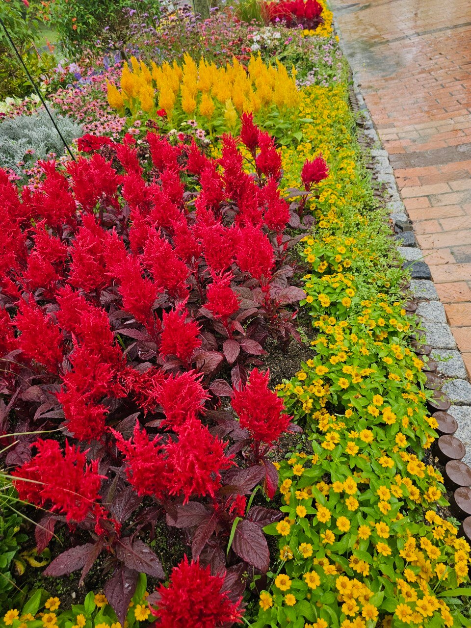 장애등급제 폐지 이후