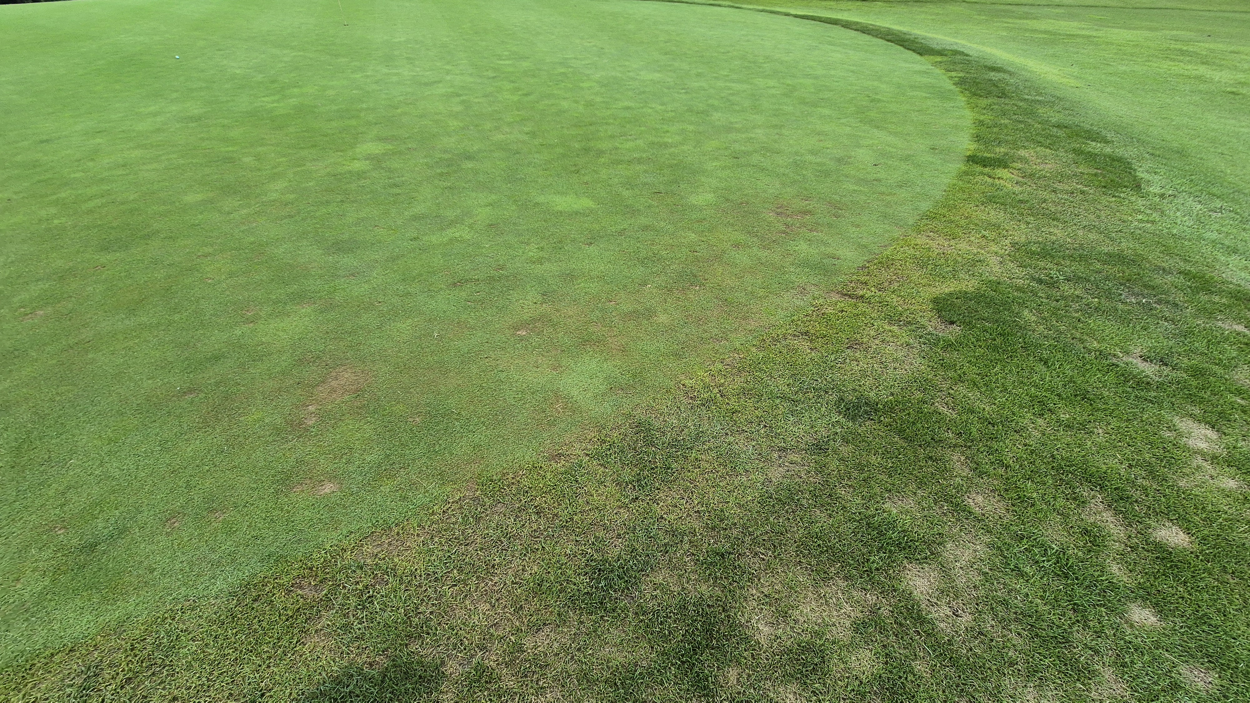 한림용인cc 다이아몬드-사파이어 코스 라운드 후기