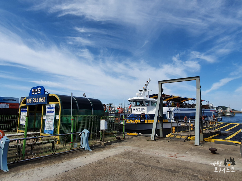 비양도 비양도호