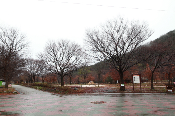 설악동자동차야영장