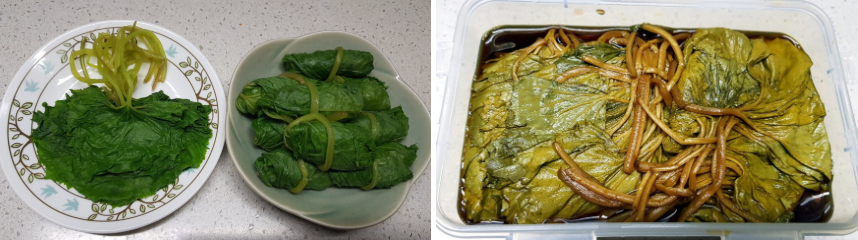 생방송투데이 봄머위 효능 및 구매방법 이주의장바구니 충남 논산 이메골농장