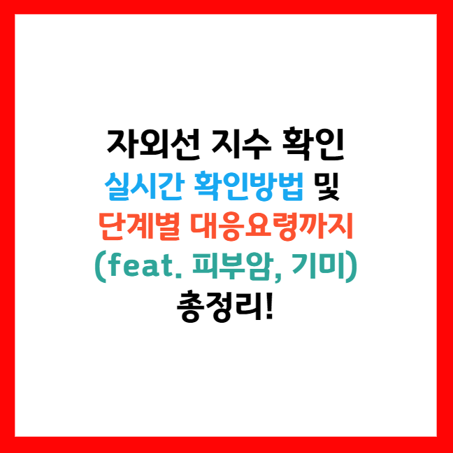 실시간 자외선 지수