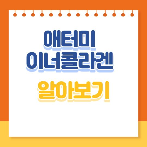 애터미 이너콜라게 알아보기