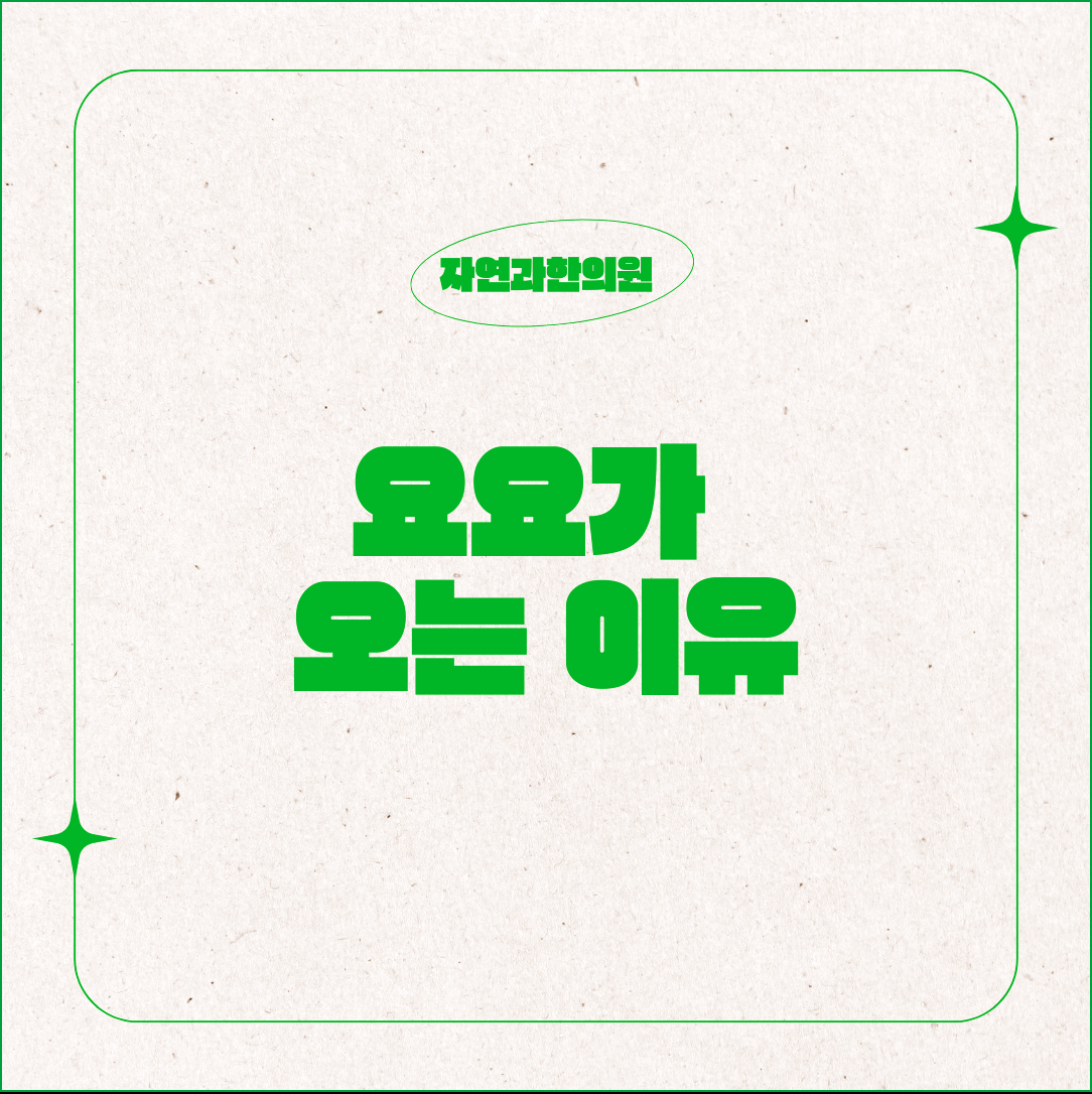 해운대다이어트한약 요요가 오는 이유 알아보세요
