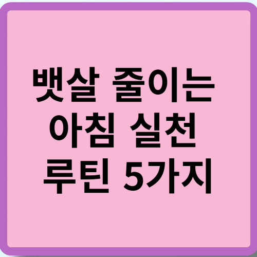 뱃살 줄이는 아침 실천 루틴 5가지
